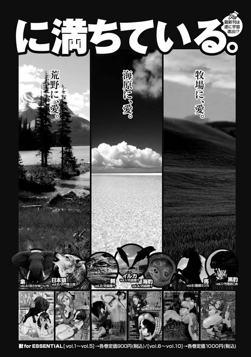 美少女革命 極 Road 2012-08 Vol.2 Page.186