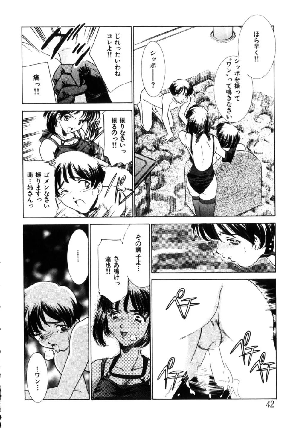 近親凌辱~愛欲の家族生活 Page.43