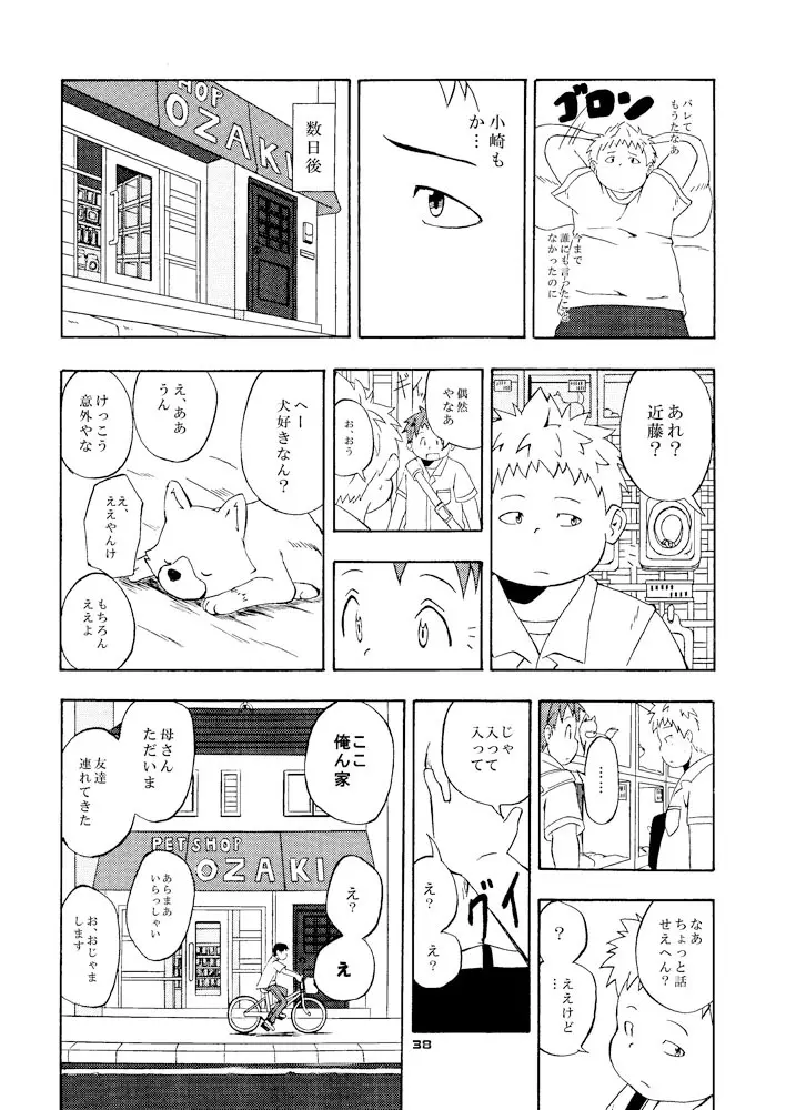 Boronian Page.43