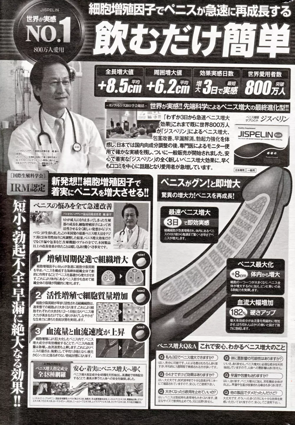 COMIC バズーカ 2012年10月号 Page.233