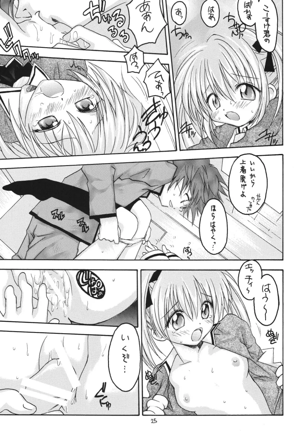 ヴァルハラ～第二章～冬の嵐 Page.25