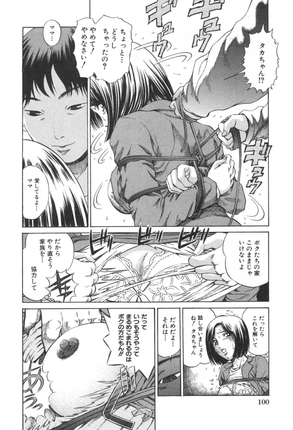 禁断姦淫 Vol. 25 母子性交 Page.102