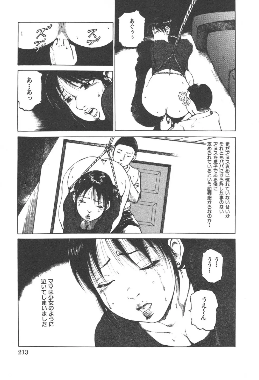 禁断姦淫 Vol. 25 母子性交 Page.214