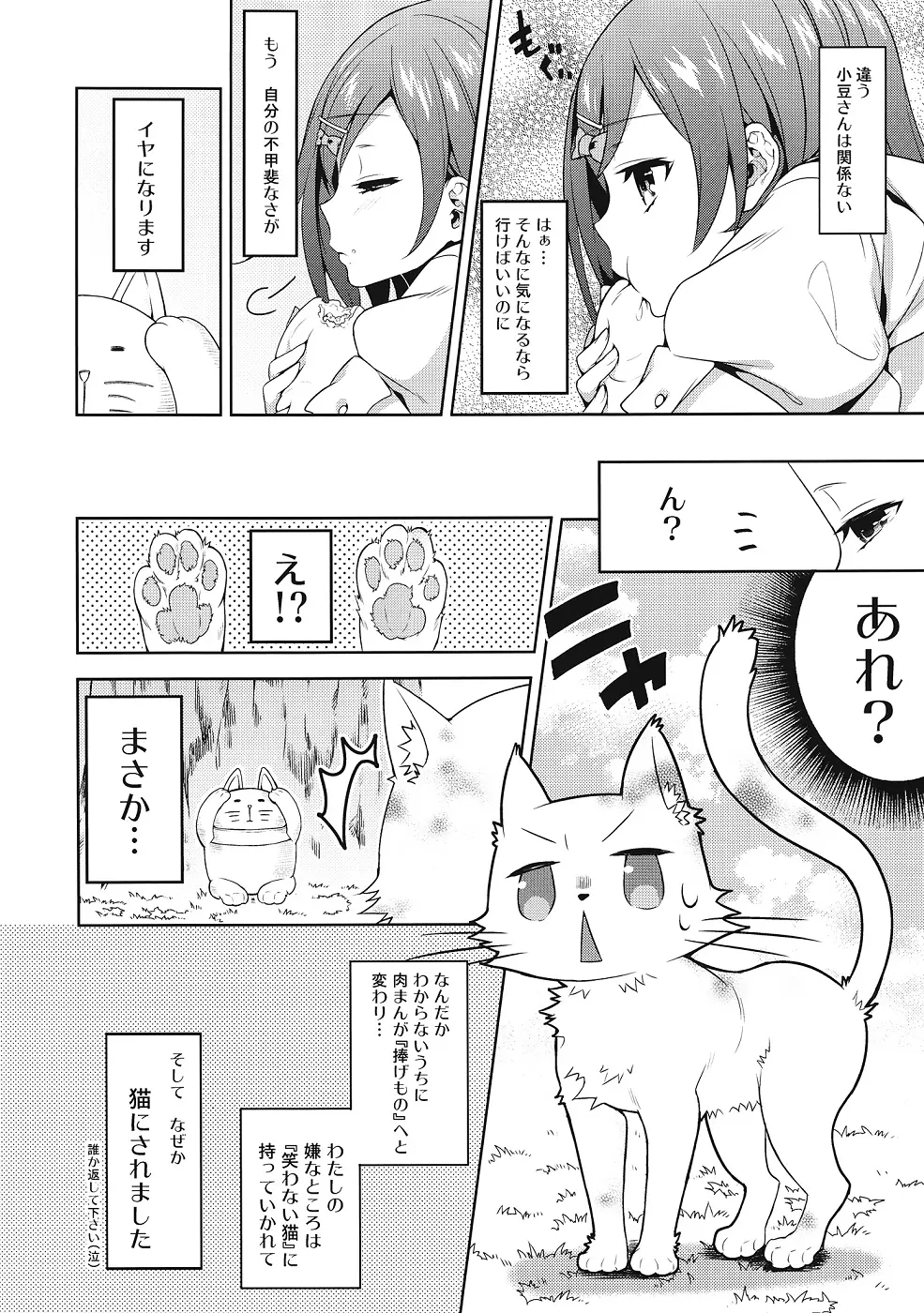 変態王子に犯された猫。 Page.3