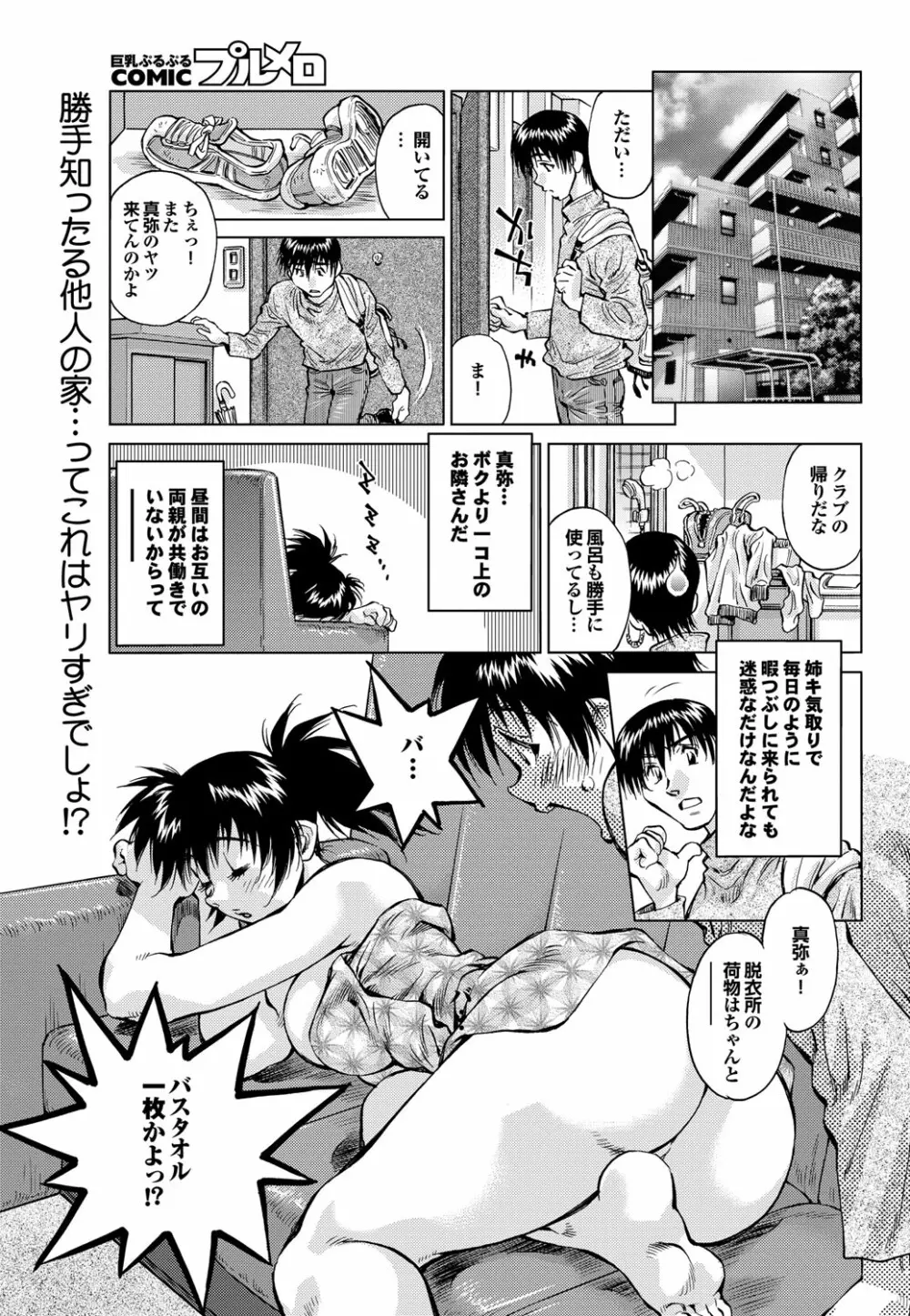 COMIC プルメロ 2010年2月号 Page.166