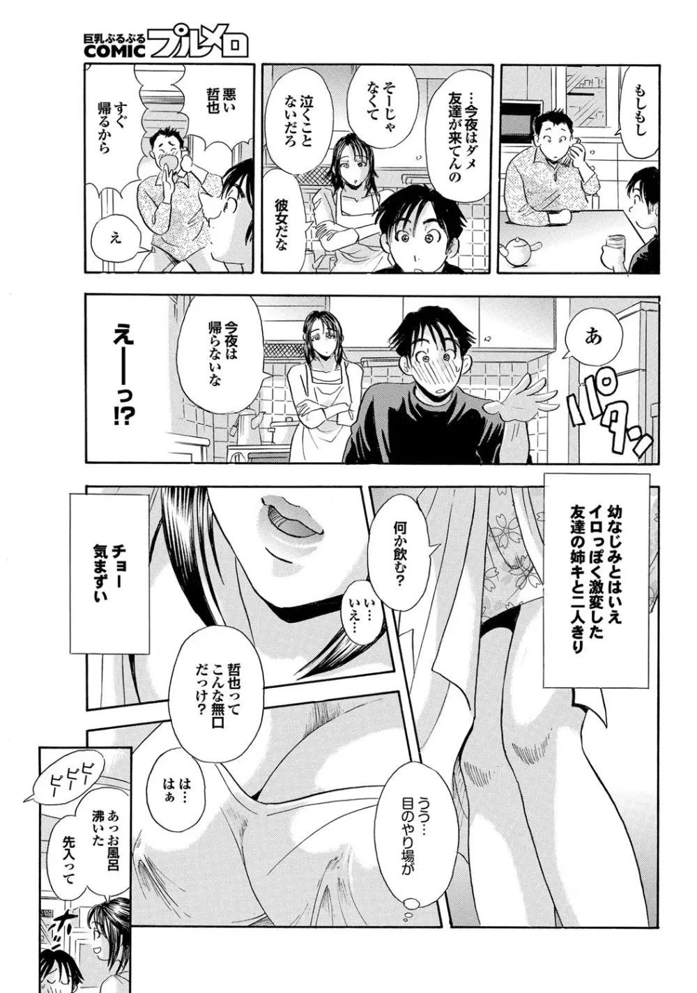 COMIC プルメロ 2010年03月号 Page.166