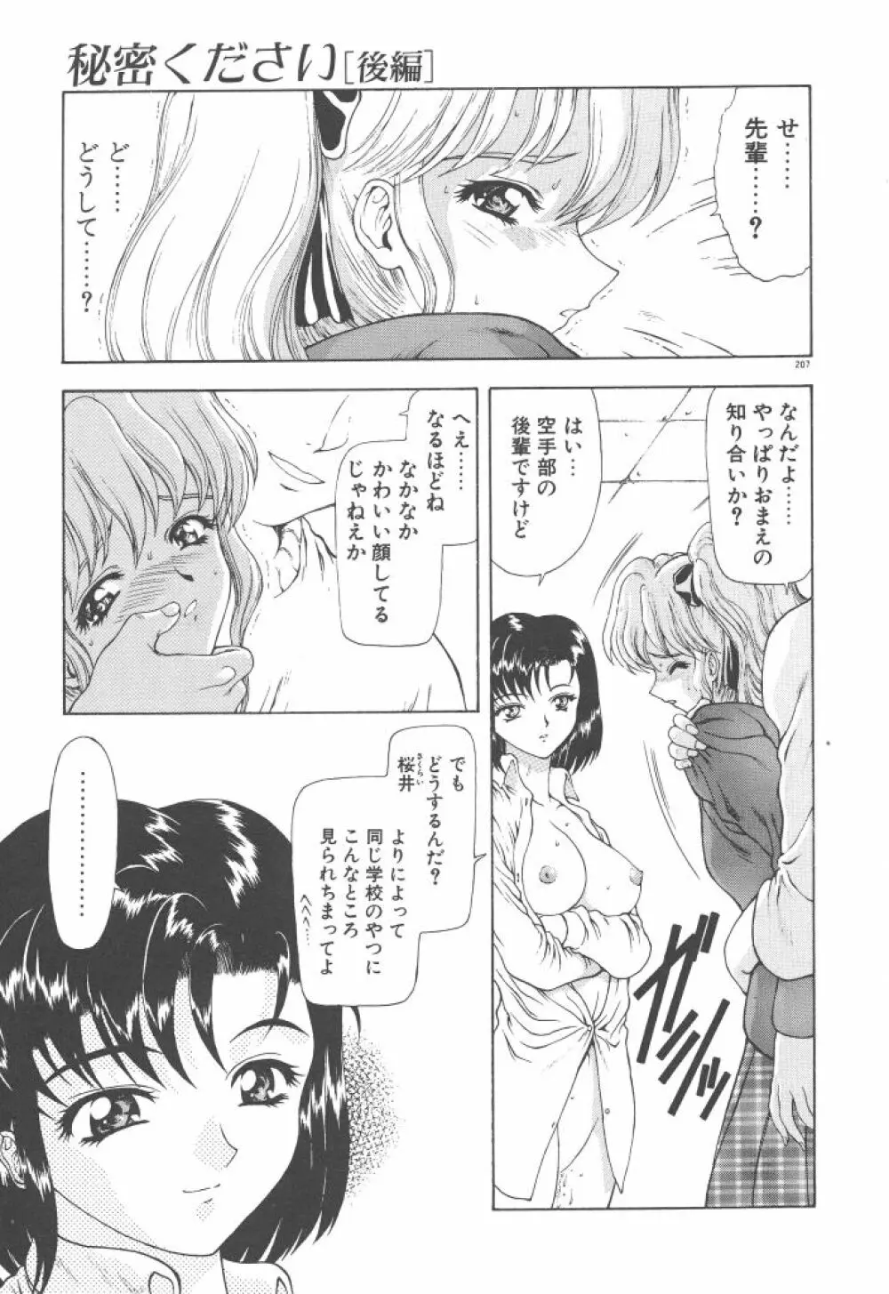 背徳の彼方 Page.209