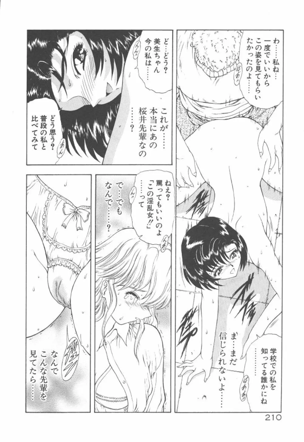 背徳の彼方 Page.212