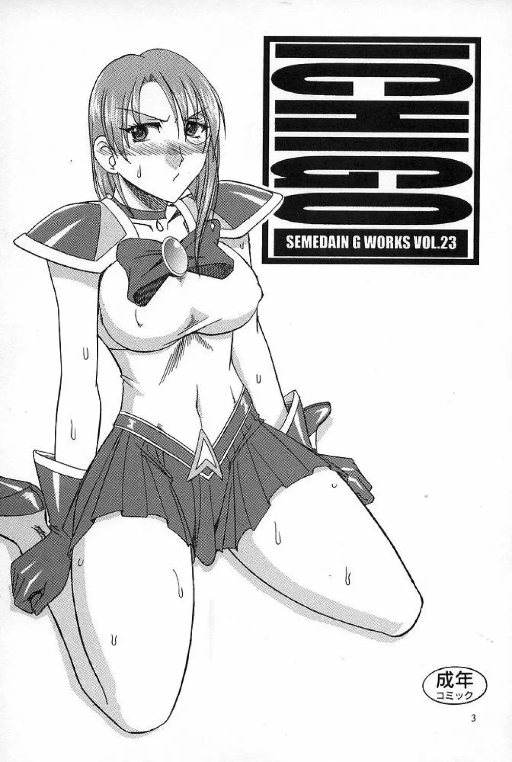 SEMEDAIN G WORKS vol.23 - ICHIGO Page.2