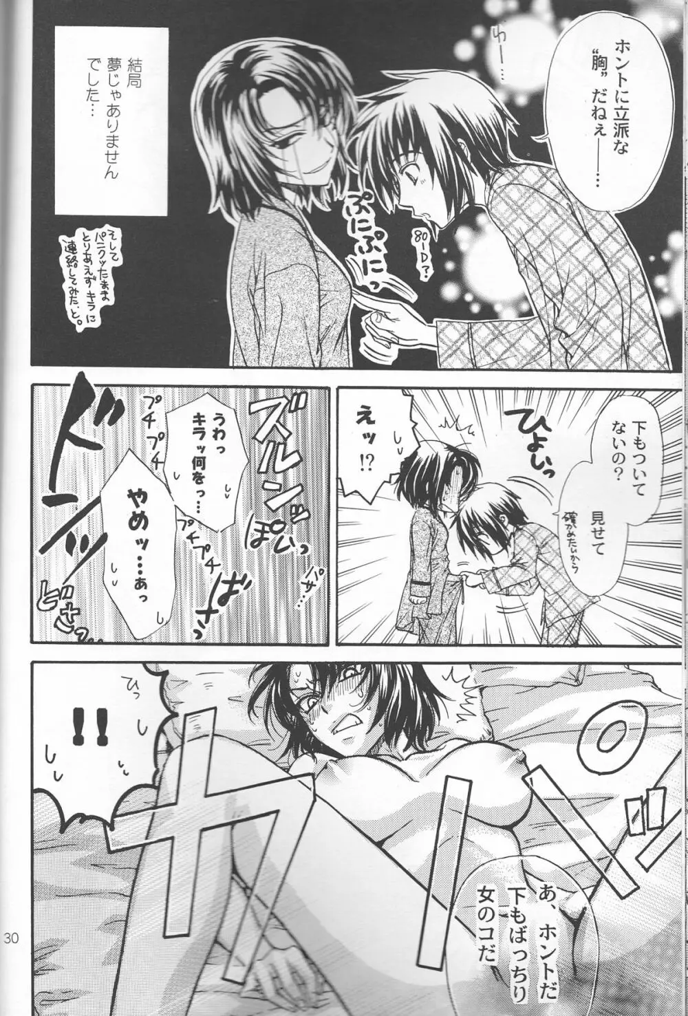 裏アスラン。～アスランが女の子になっちゃった!?～ Page.30