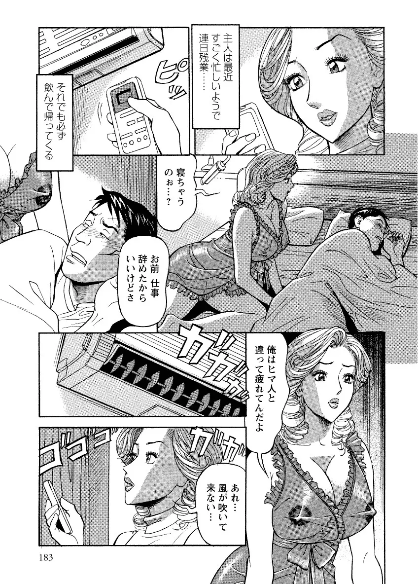 危ない人妻 祥子の冒険 Page.181