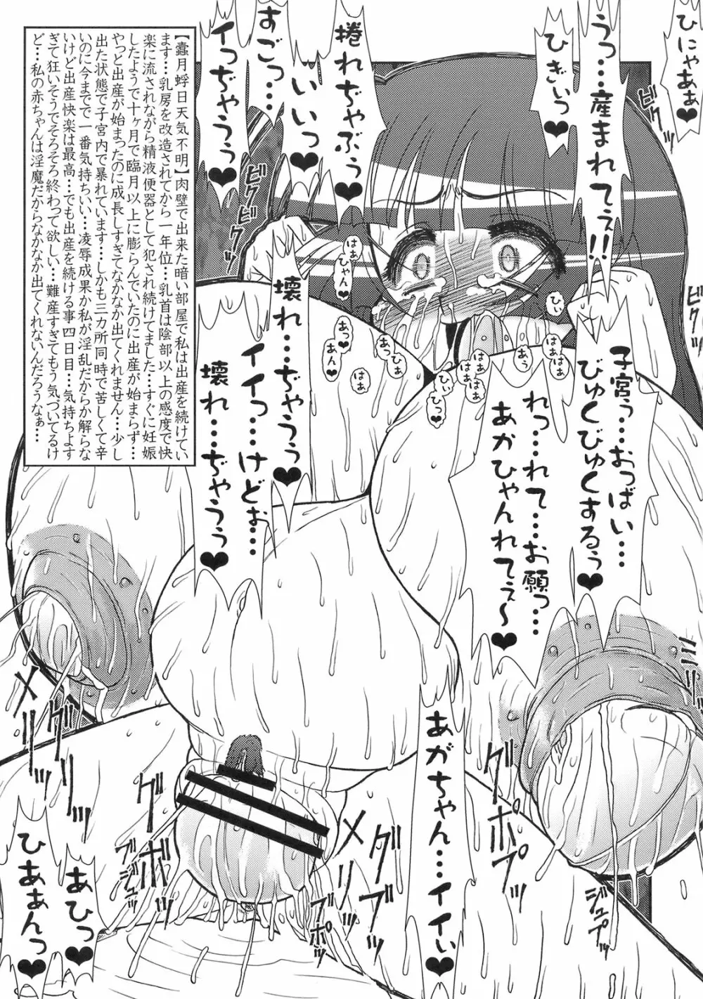 姫・淫魔性奴日誌 Page.25