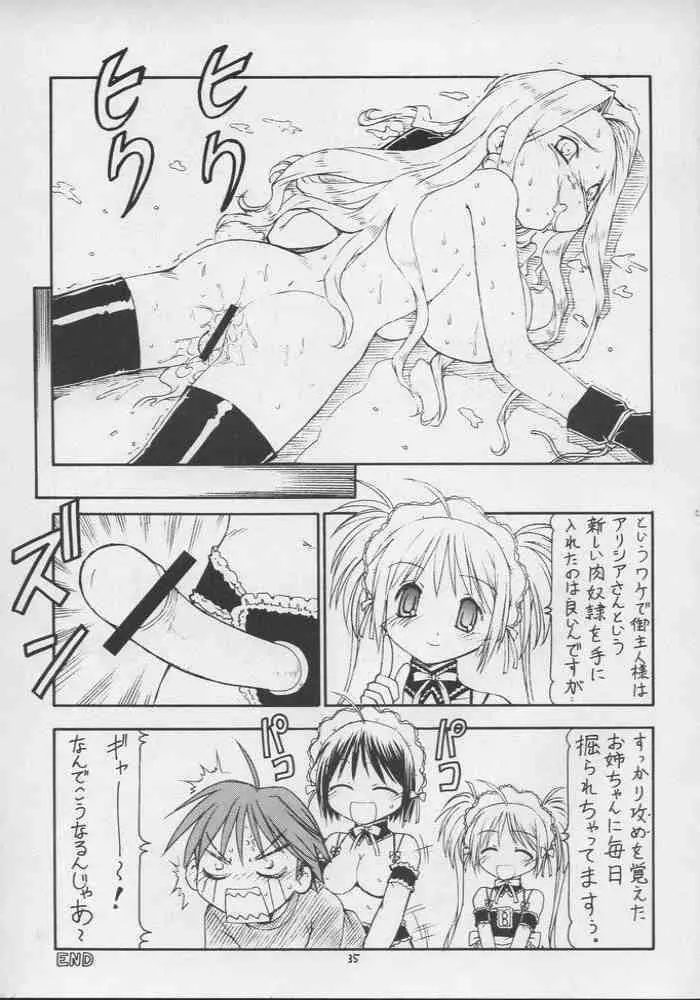 これが鬼畜な御主人様3 Page.36