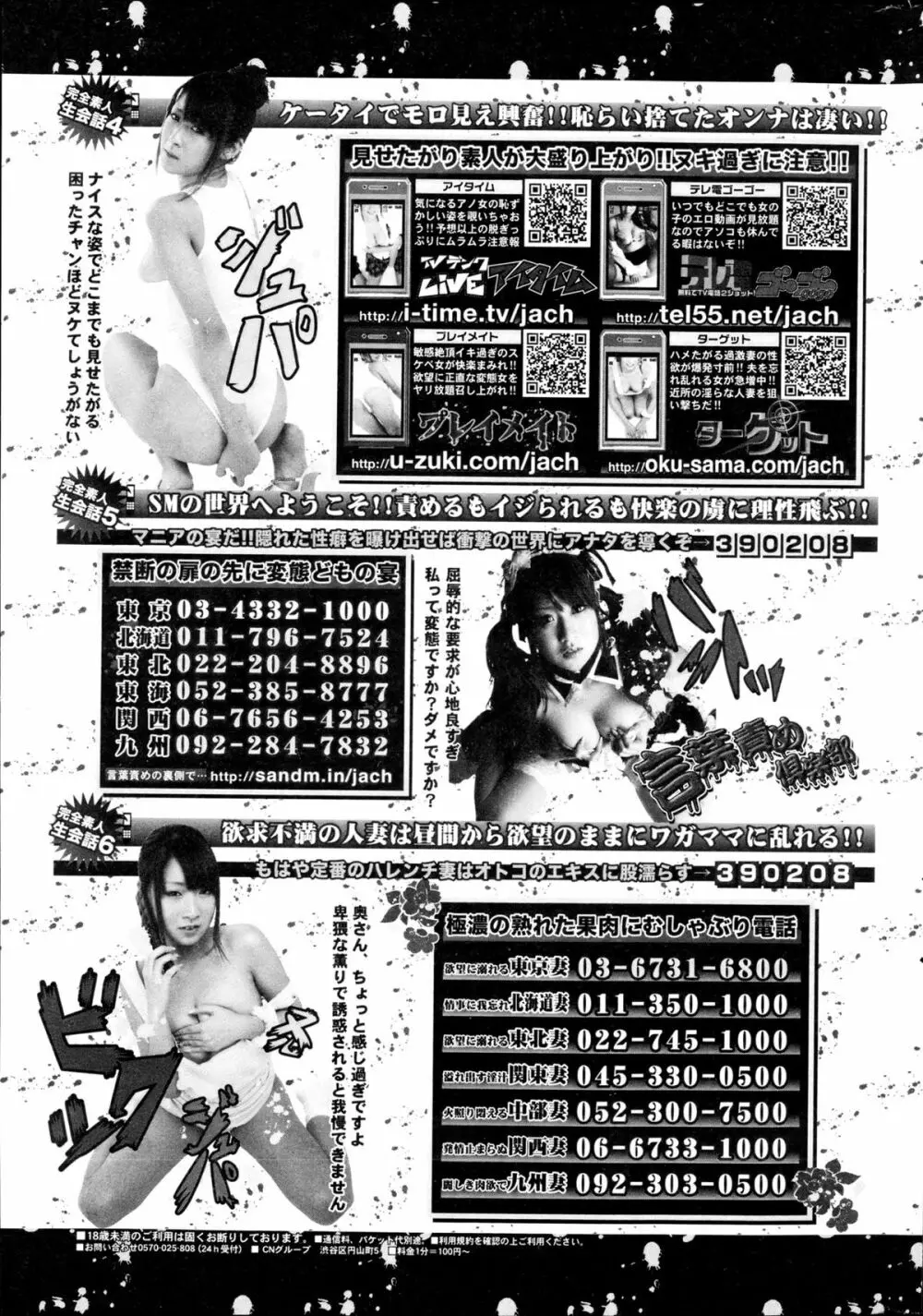 COMIC プルメロ 2013年5月号 Page.207