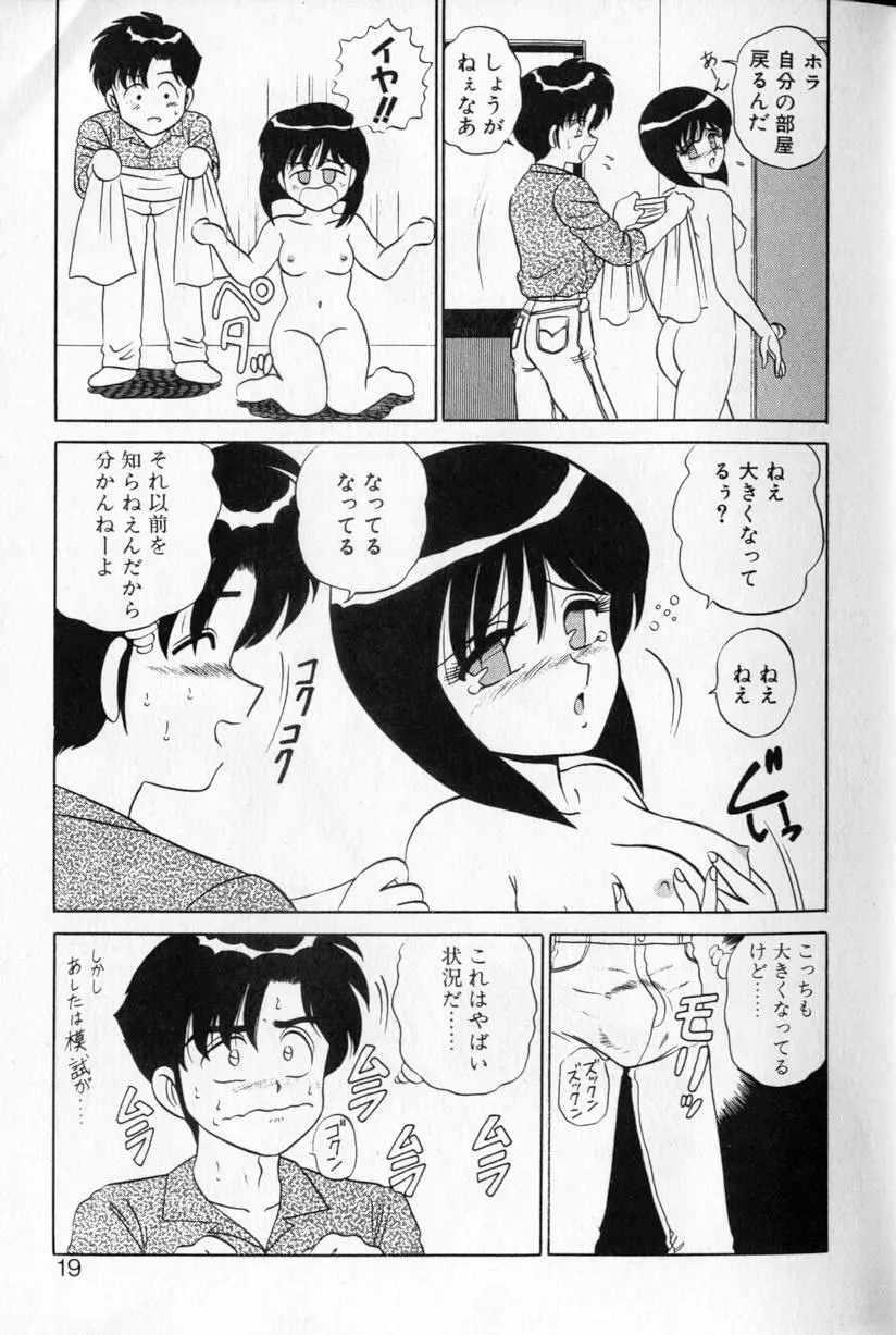 シュランバ・ランバ Page.17