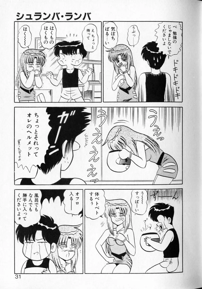 シュランバ・ランバ Page.29