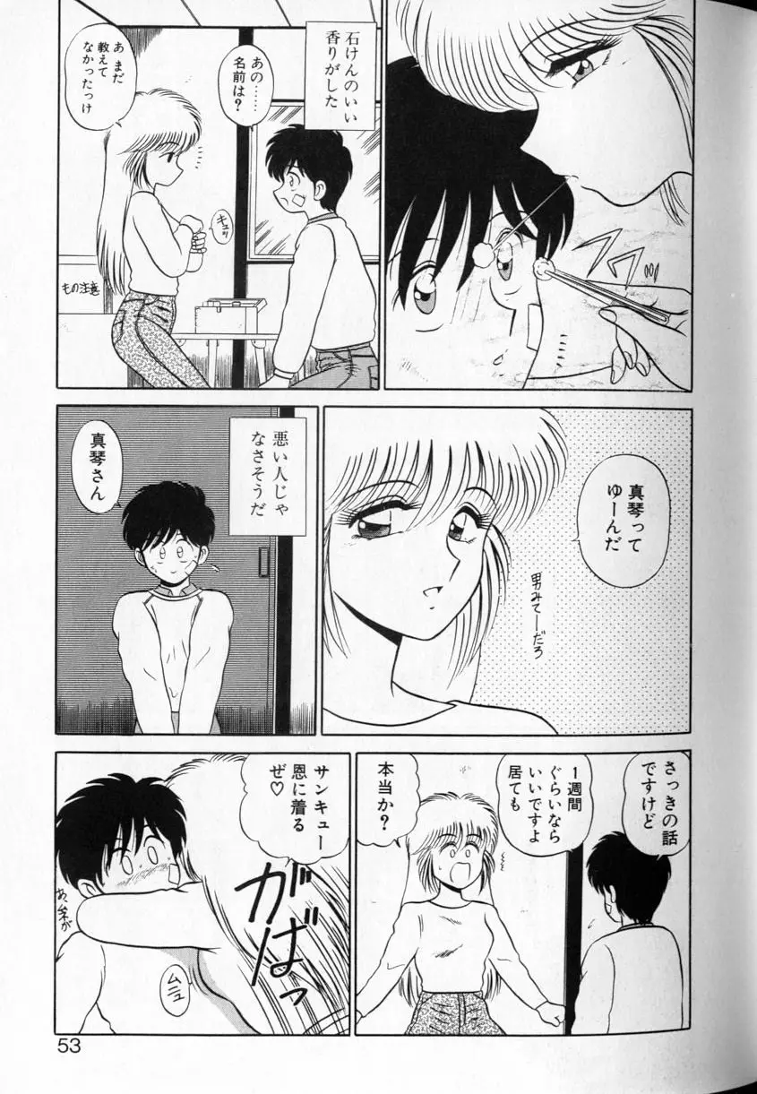 シュランバ・ランバ Page.51