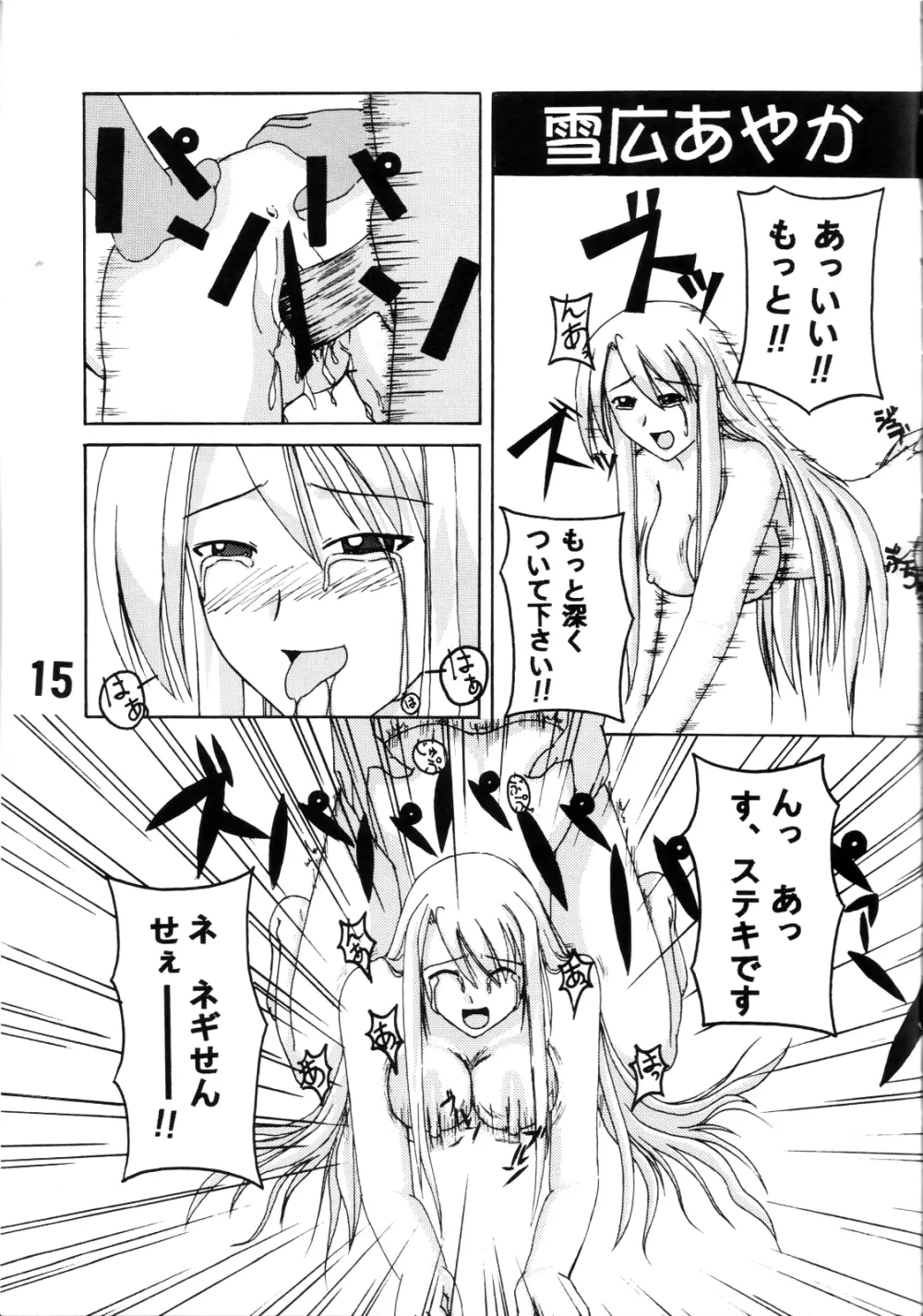 パッピーマテリアル Page.14