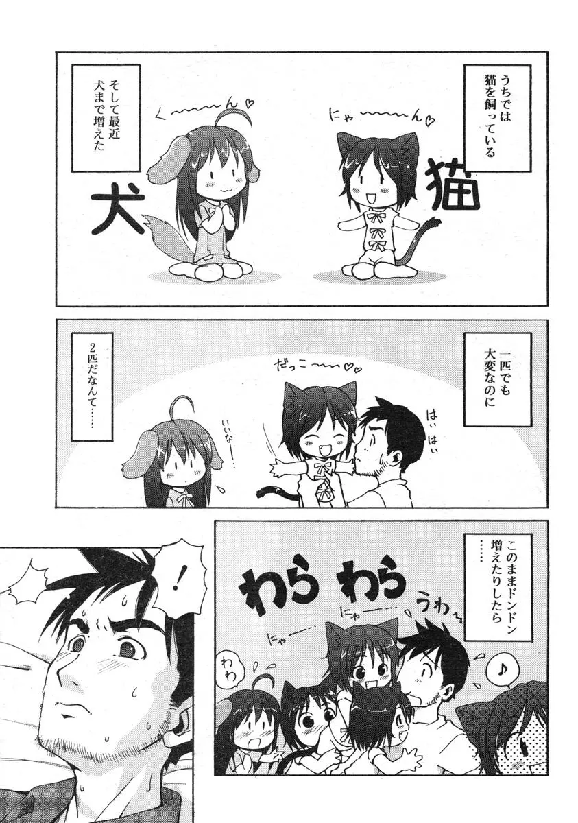 COMIC RiN 2005年1月号 Vol.1 Page.258