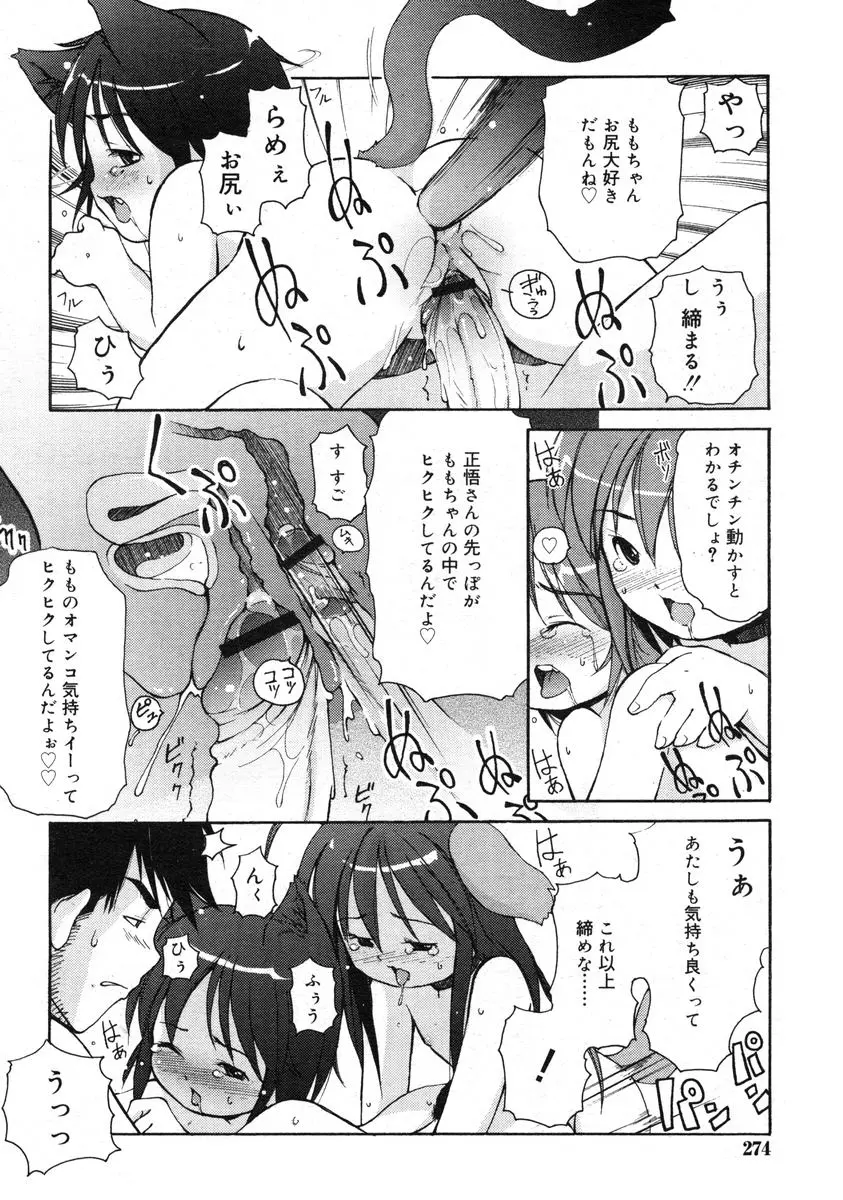 COMIC RiN 2005年1月号 Vol.1 Page.271