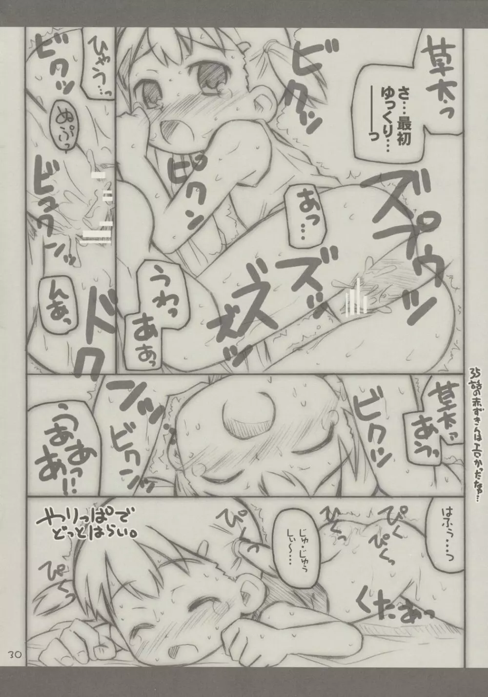 あっぷるしーど Page.29