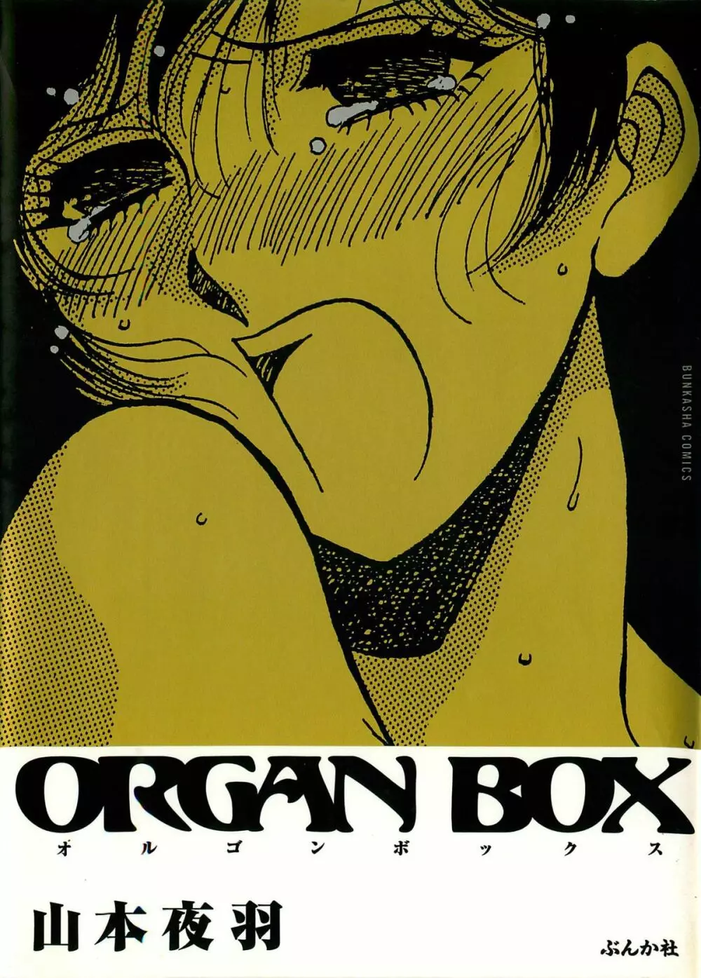 ORGAN-BOX Page.1