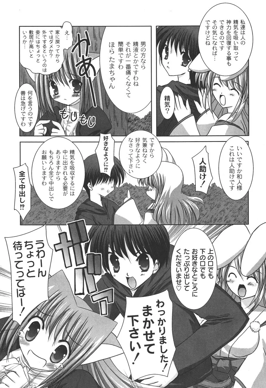 二丁目の猫神さま Page.76