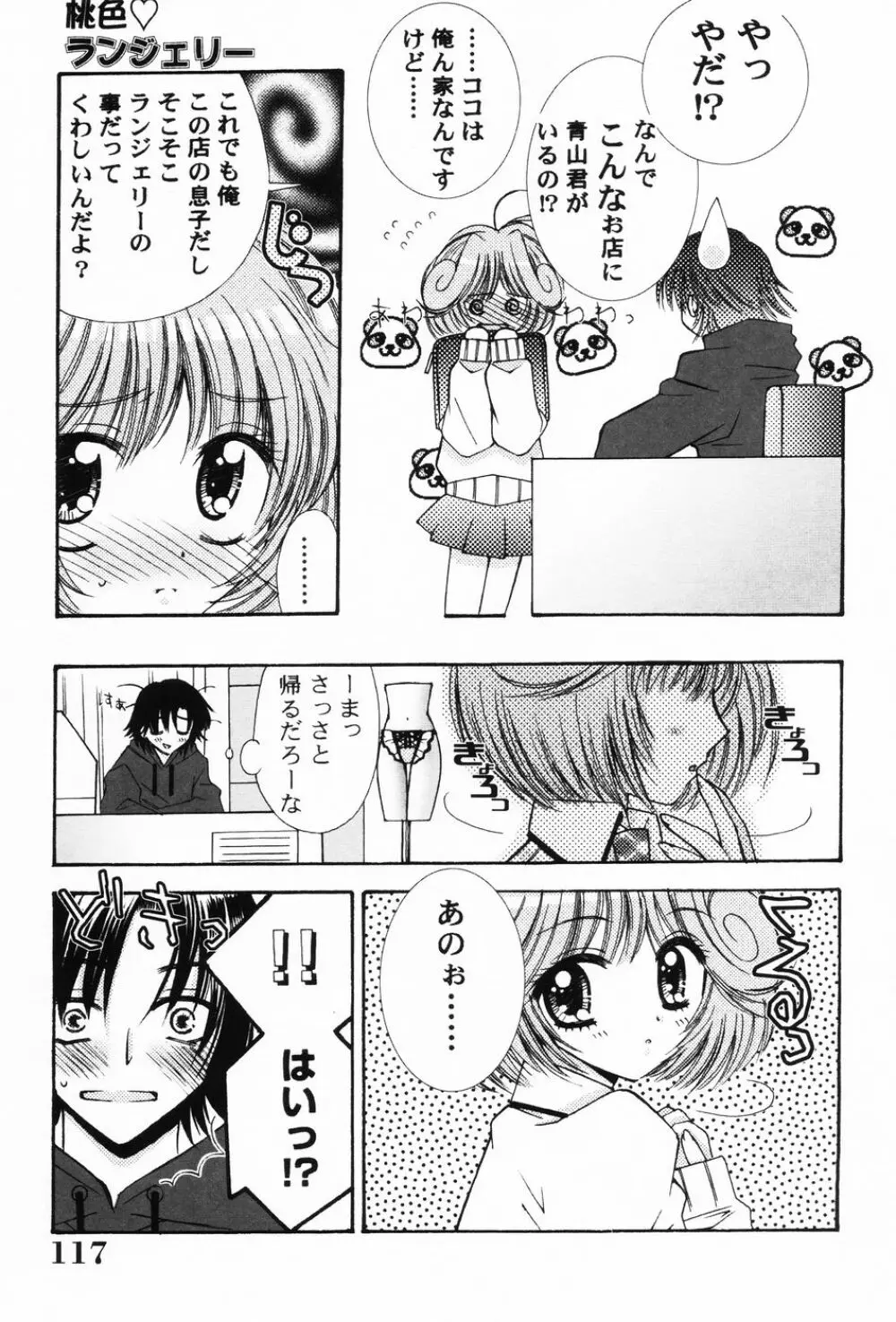 ぷにもえ。お姉ちゃん - Punimoe Elder Sister Page.118