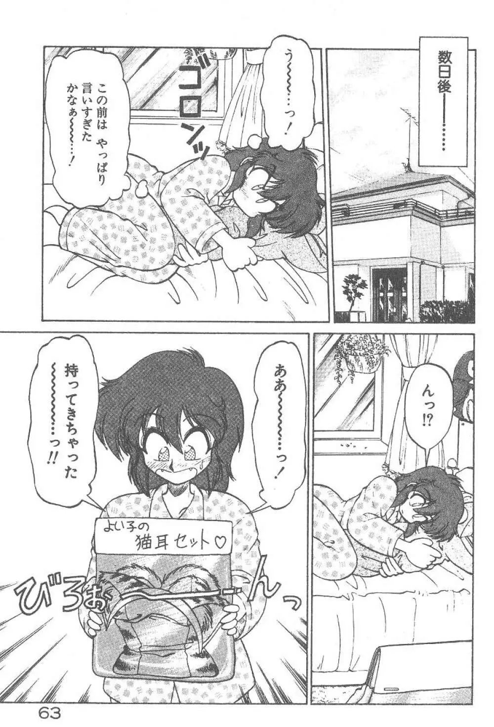 気まぐれバニーの冒険 Page.65