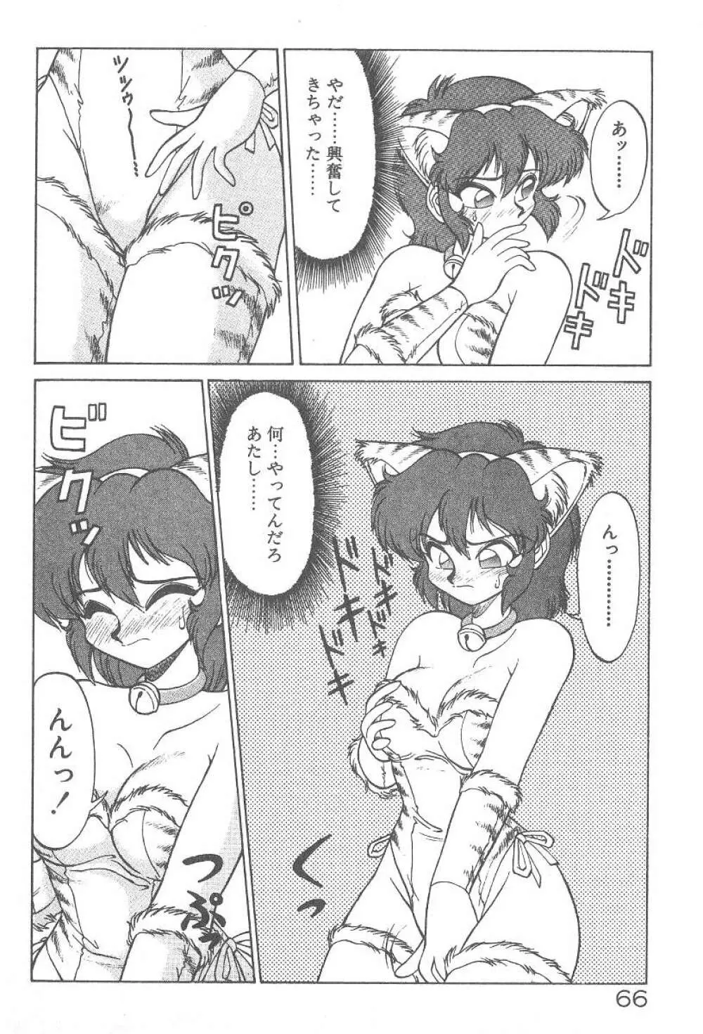 気まぐれバニーの冒険 Page.68