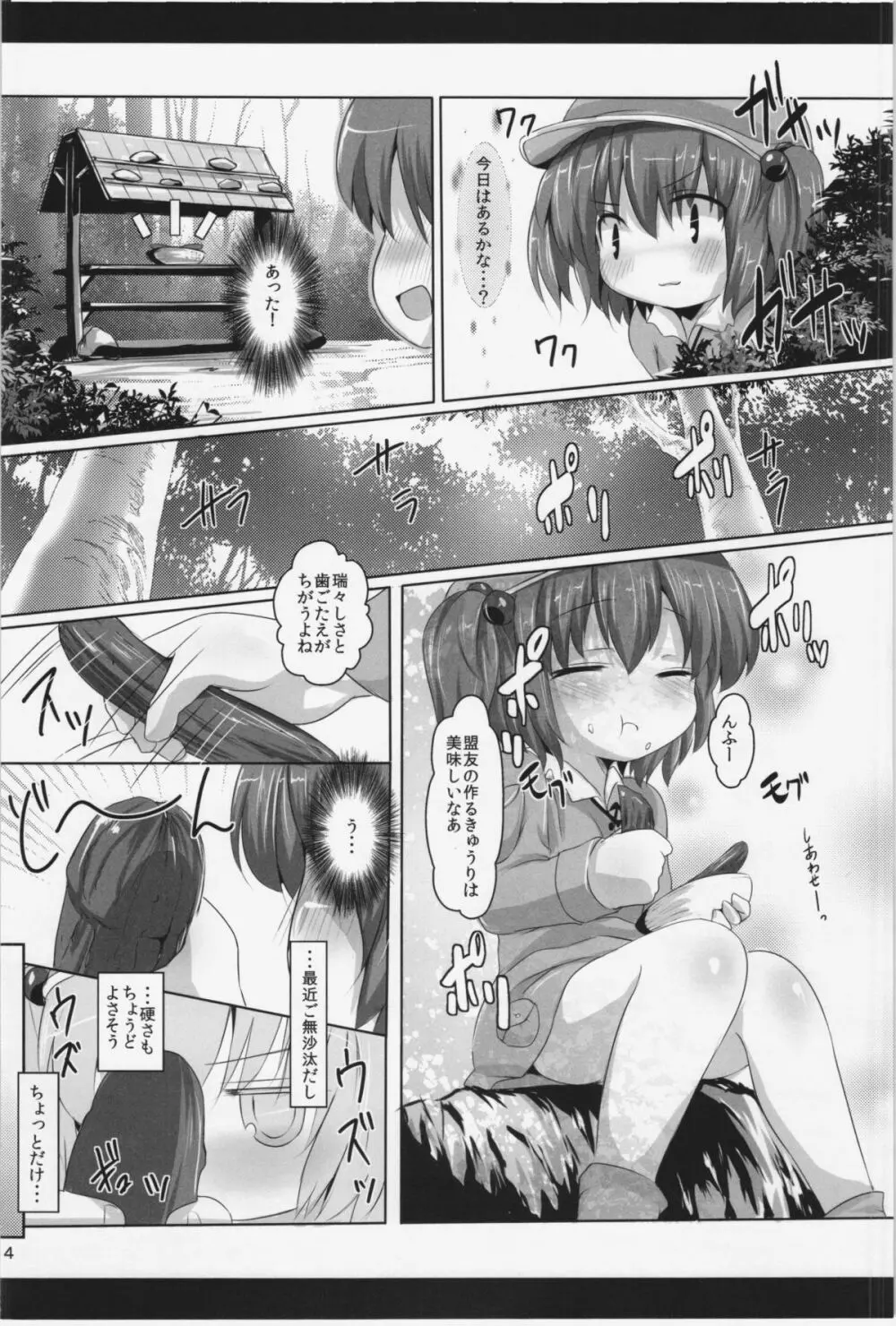 河童の性態 Page.4