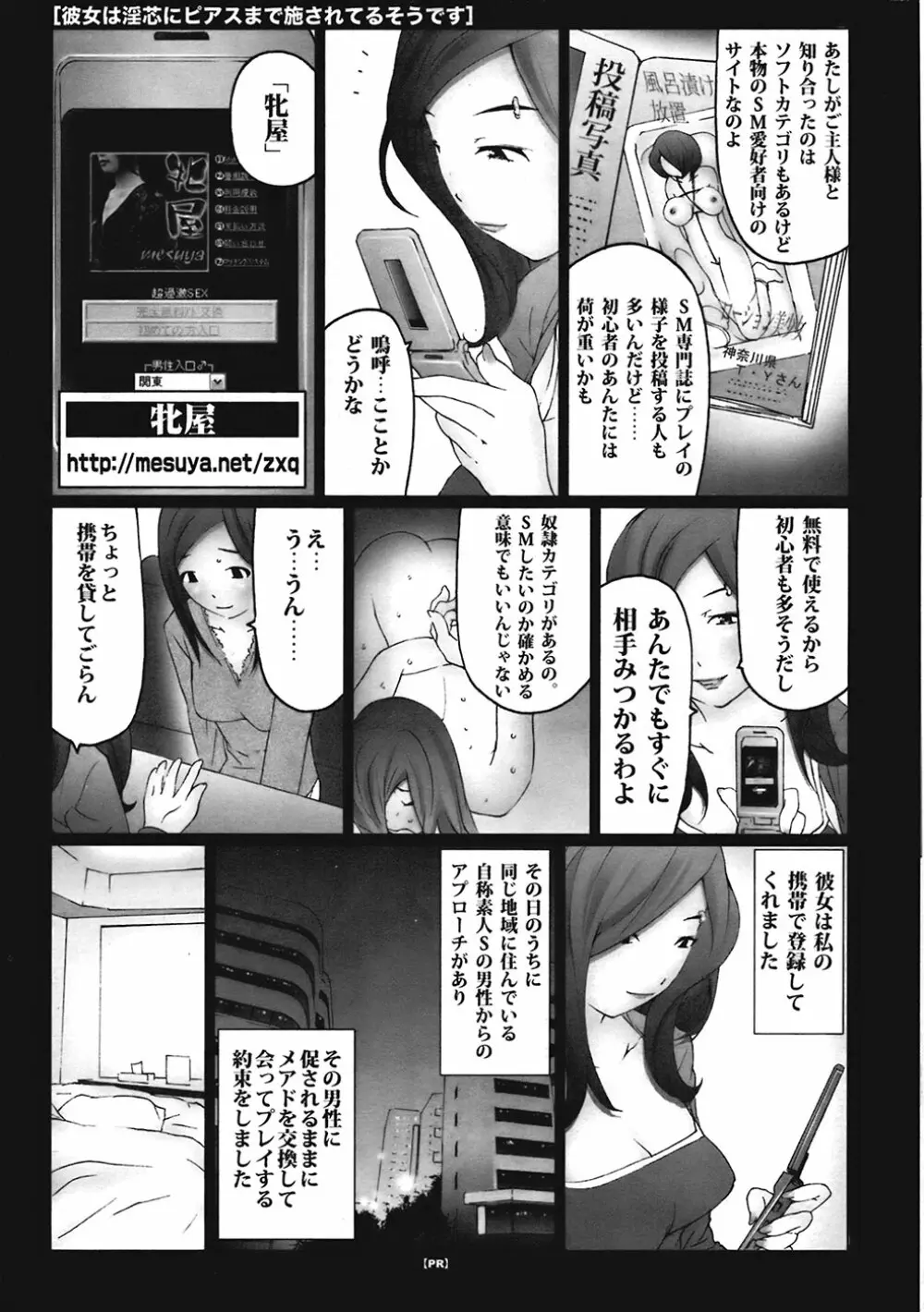 COMIC プルメロ 2008年11月号 vol.23 Page.202