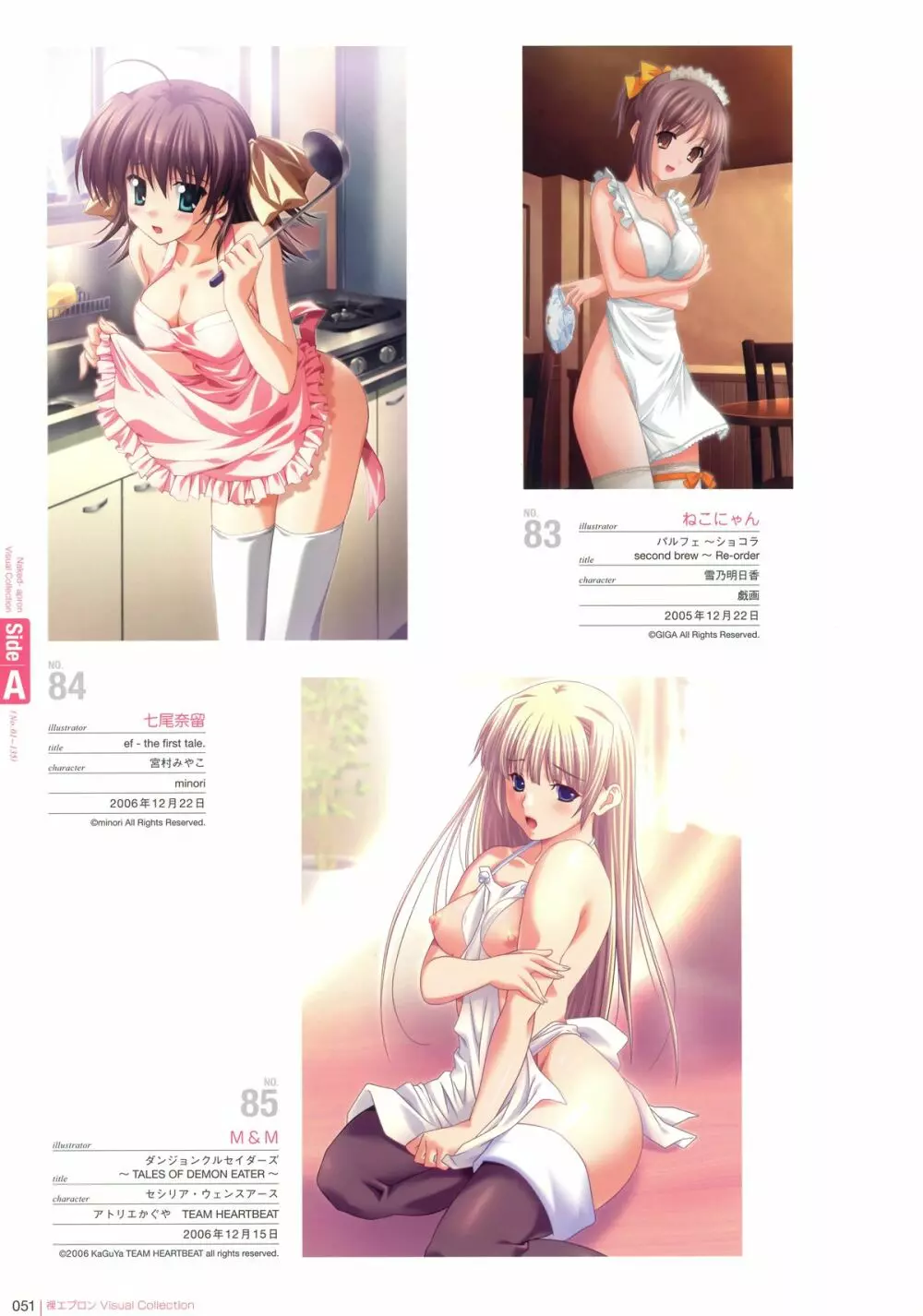 裸エプロンVisual Collection Page.49