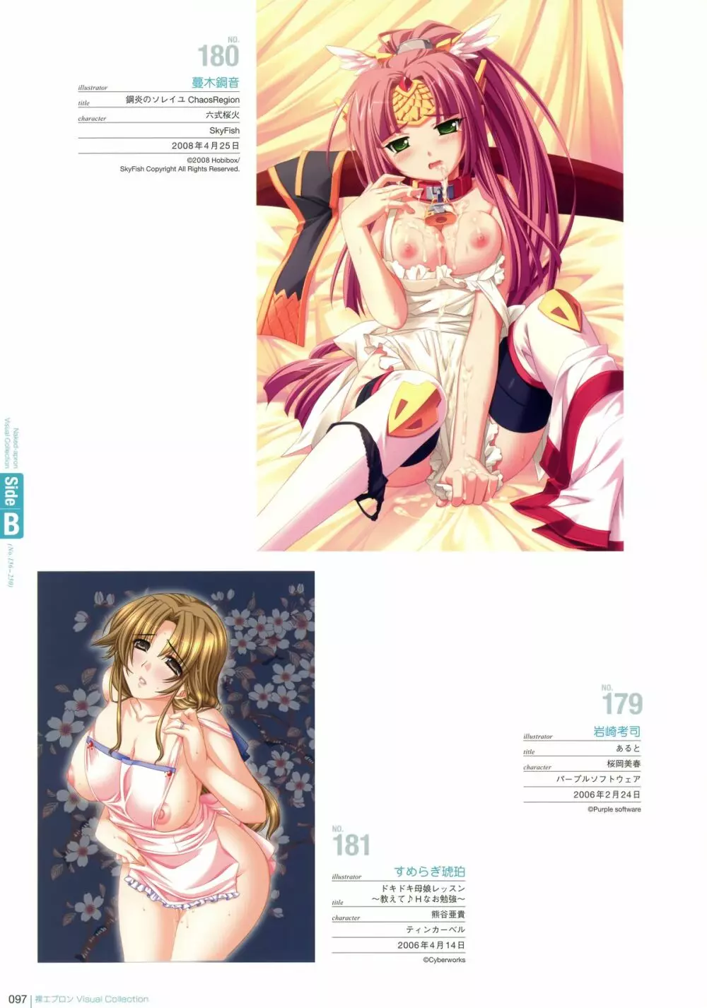 裸エプロンVisual Collection Page.95