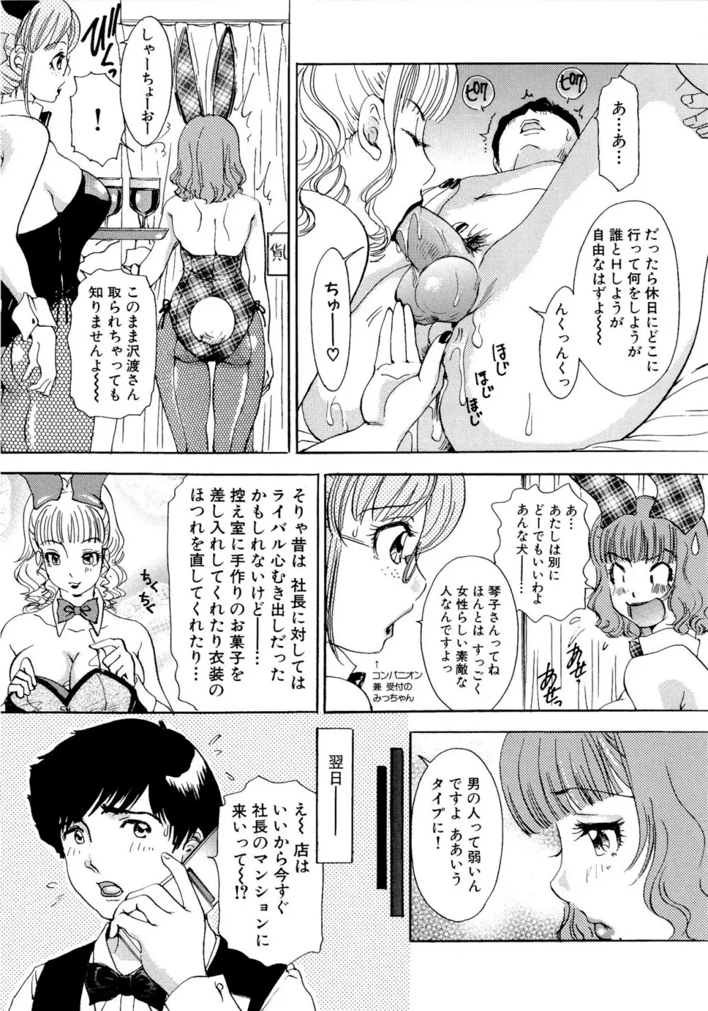 ハメちゃえ!バニーズ Page.26