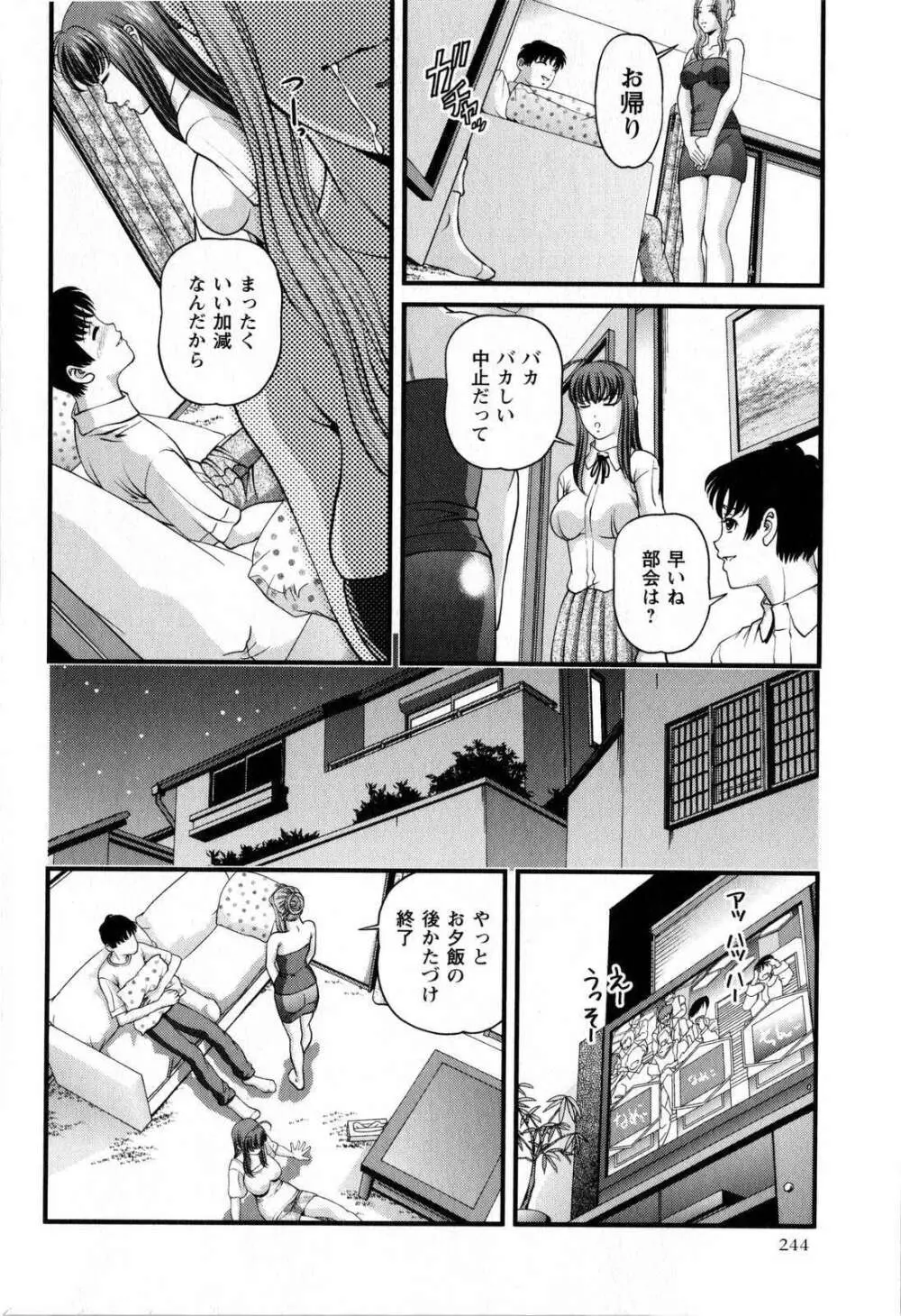 コミック・マショウ 2008年12月号 Page.244