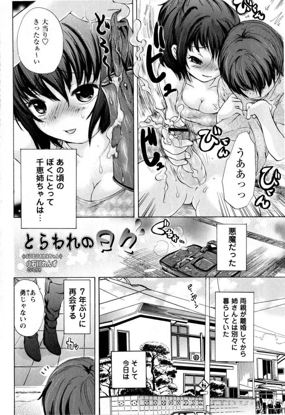 コミック・マショウ 2008年12月号 Page.36