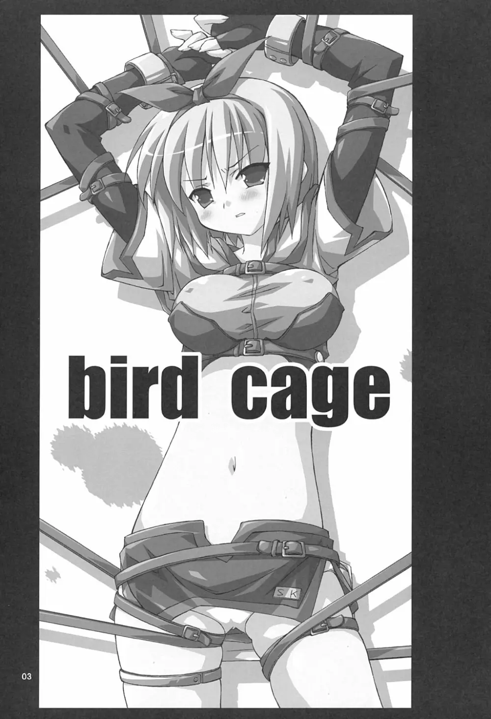 bird cage Page.2
