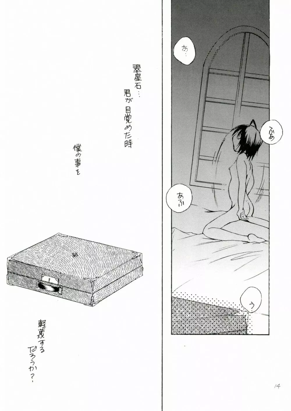 薔薇乙女。桃色日記 Page.14