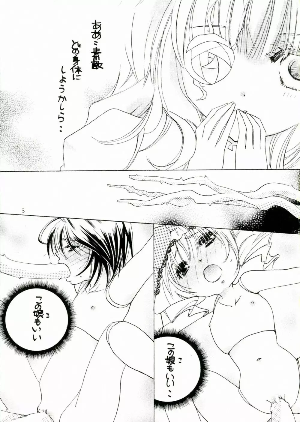 薔薇乙女。桃色日記 Page.3