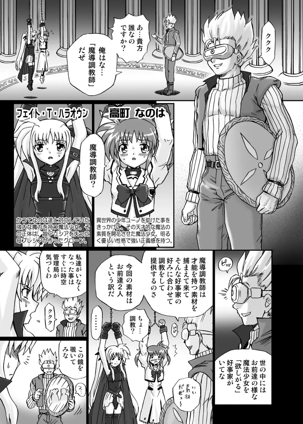 IRIE YAMAZAKI 「な○は&フェ○ト」アナル&スカトロ作品集 Page.5