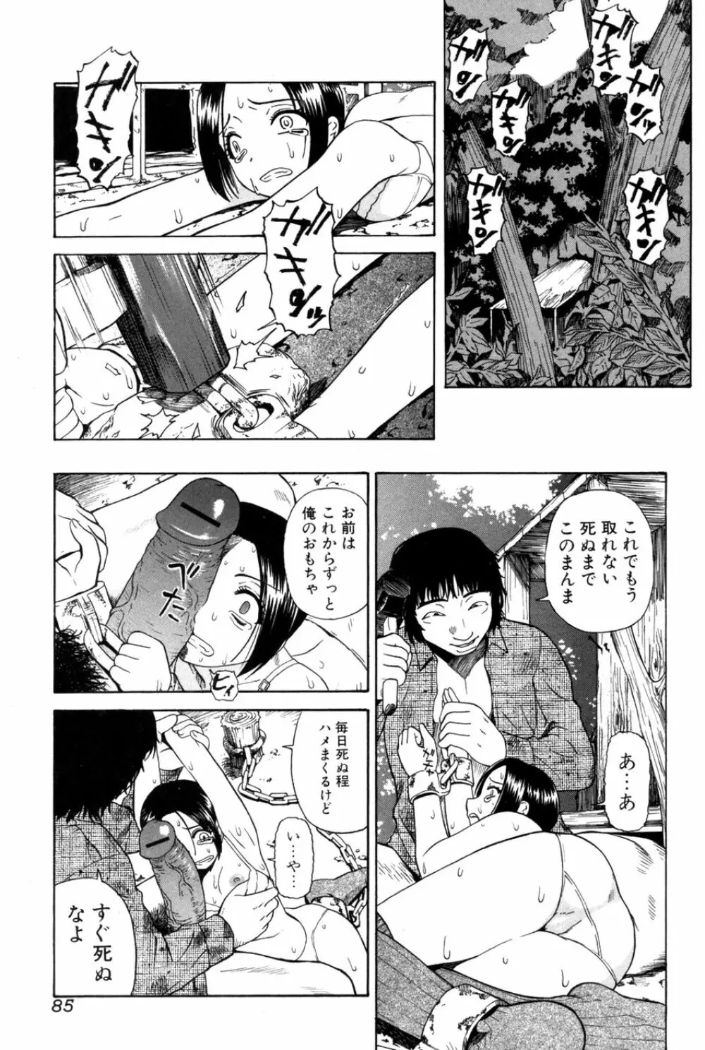 純愛果実 2007年5月号 Page.85