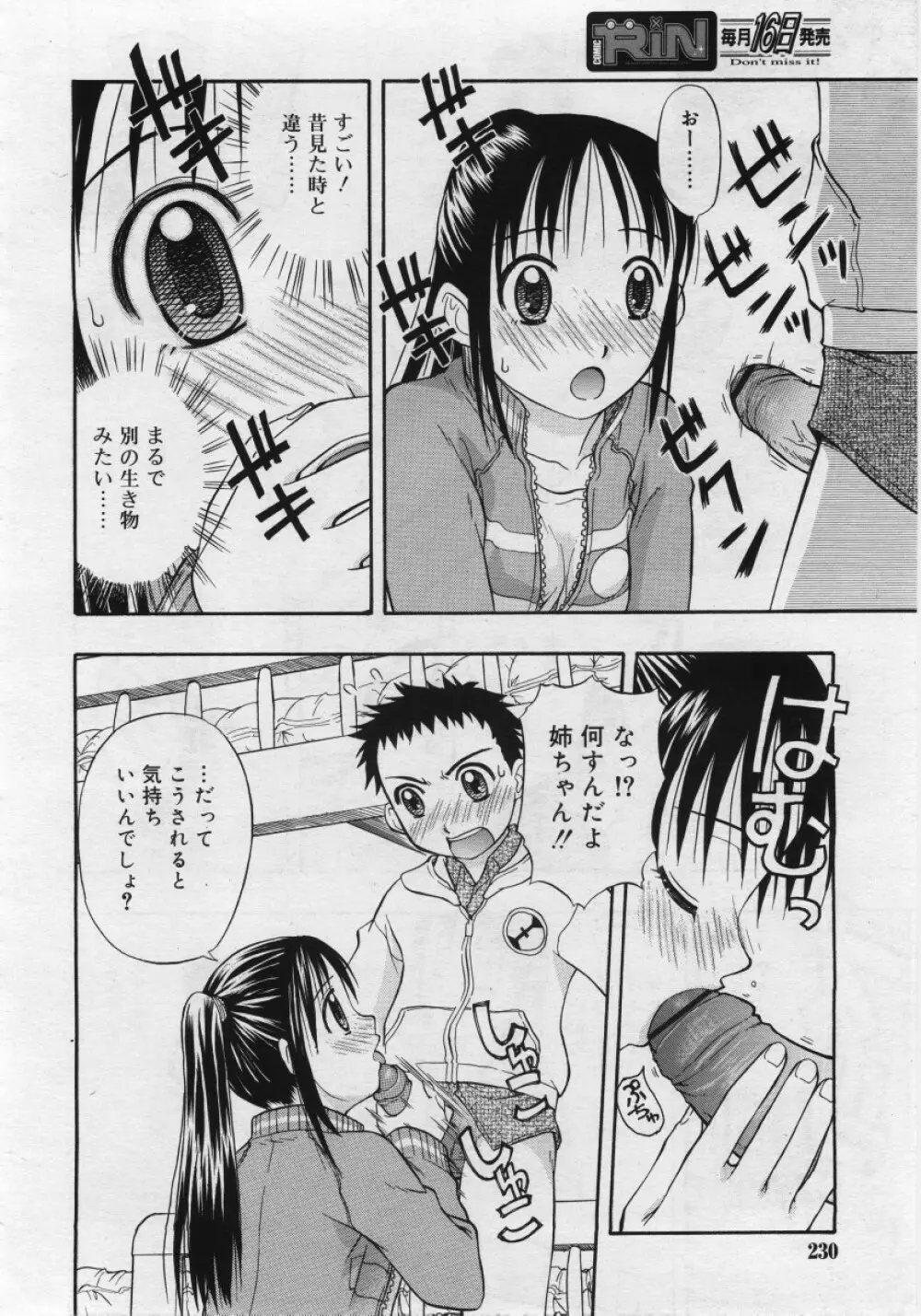 COMIC RiN 2006年03月号 Page.230