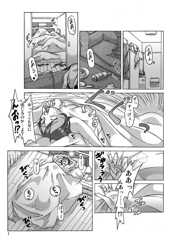 買った着ぐるみ 其の三 Page.3