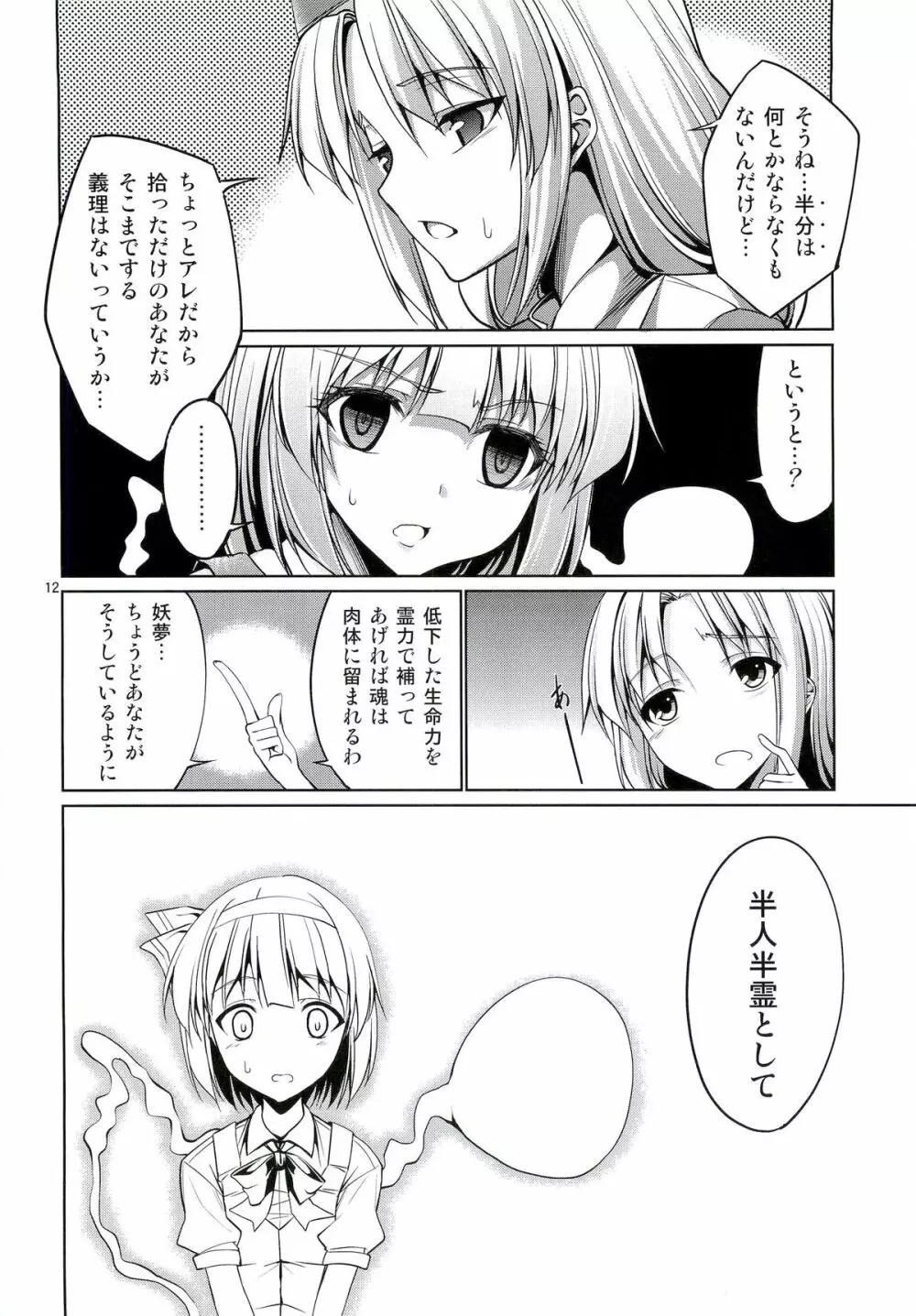 東方妖艶義～妖夢に拾ってもらう本～ Page.11