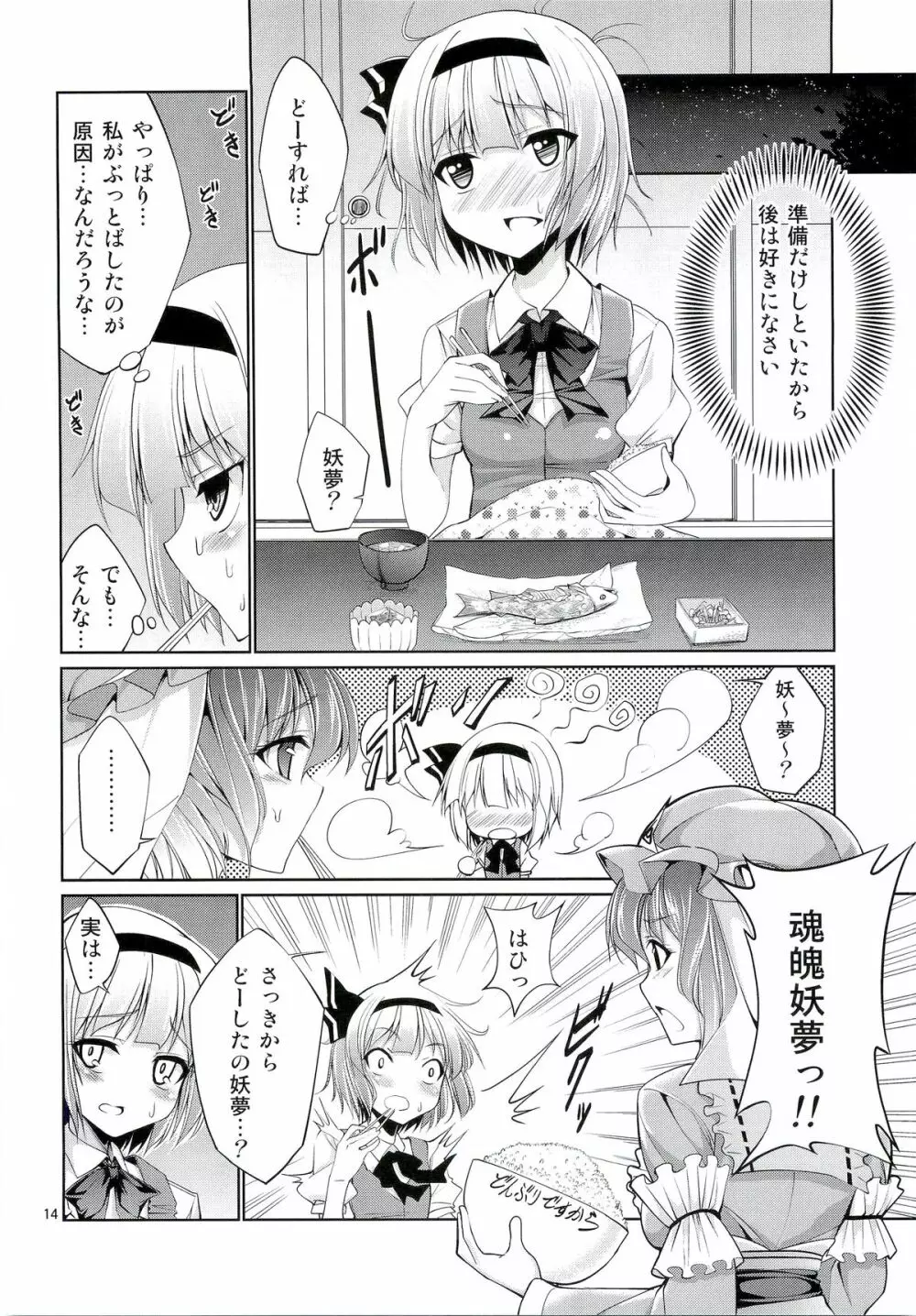 東方妖艶義～妖夢に拾ってもらう本～ Page.13