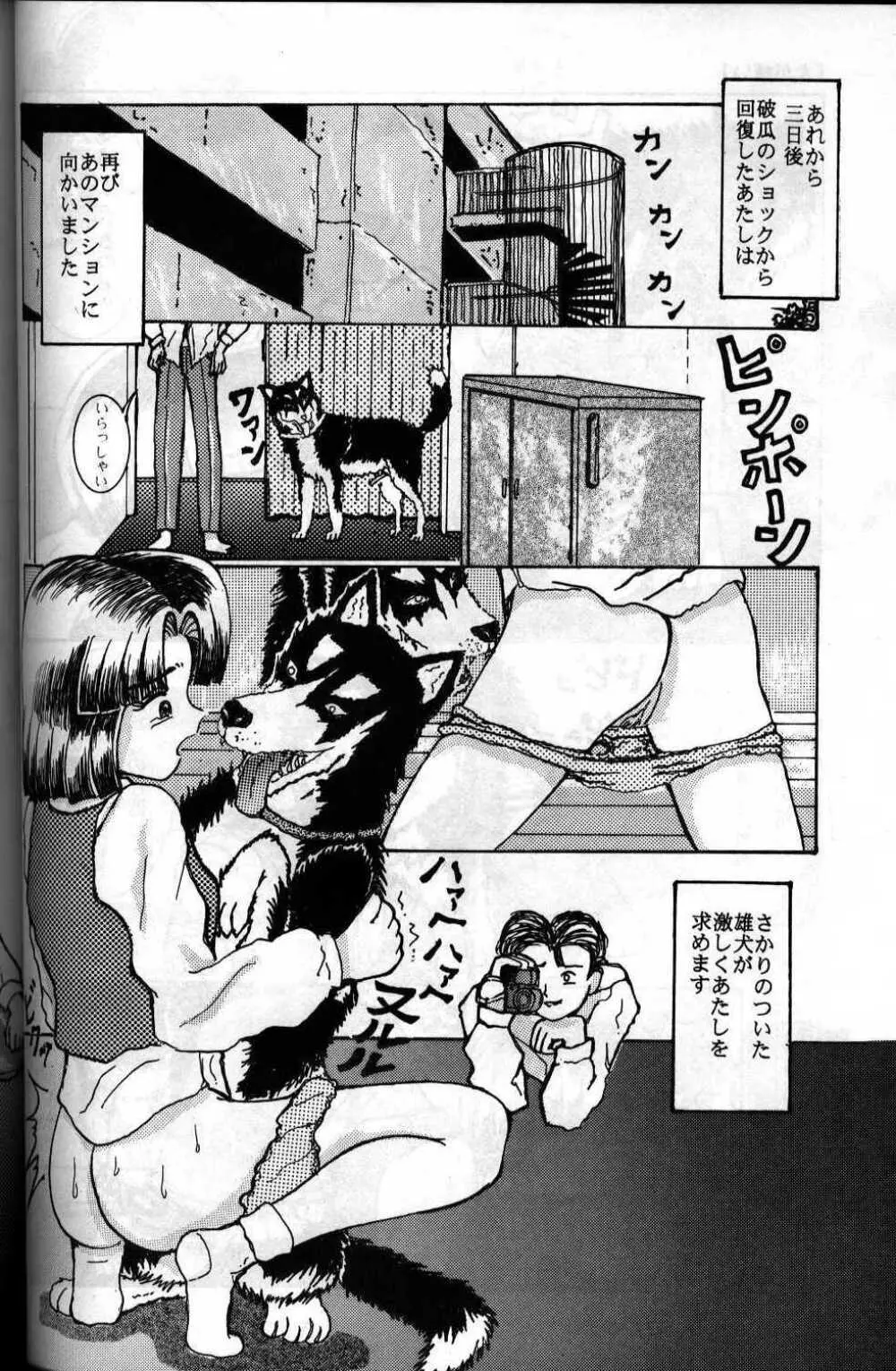 犬が嫌い Page.14