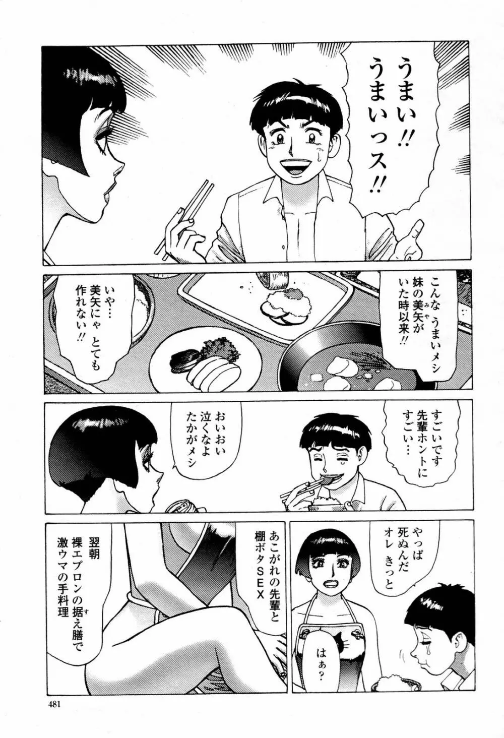 COMIC 桃姫 2007年07月号 Page.481
