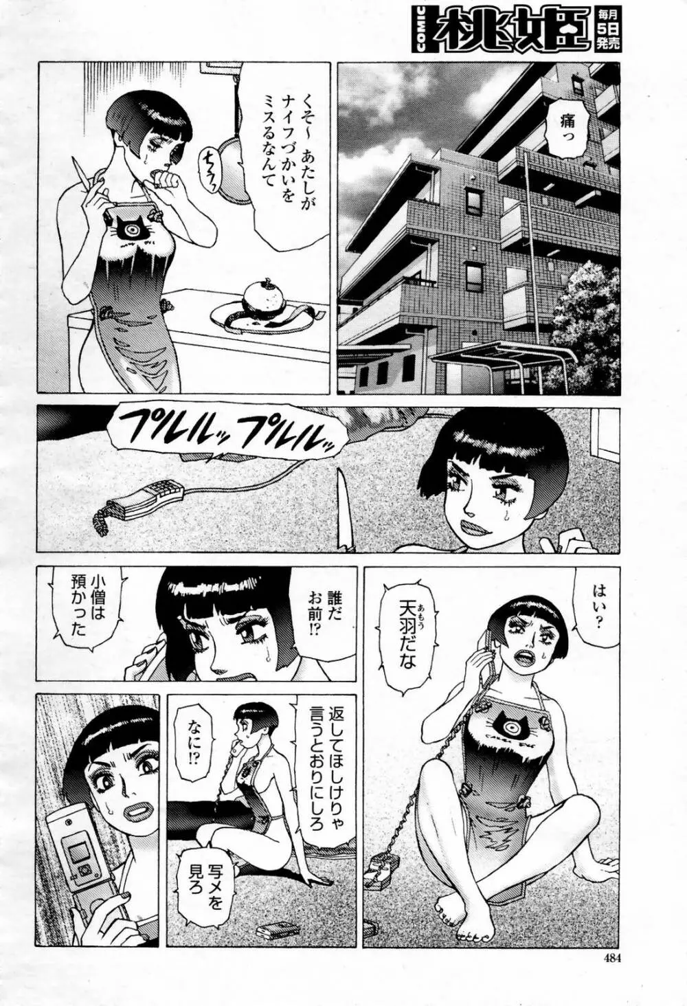 COMIC 桃姫 2007年07月号 Page.484