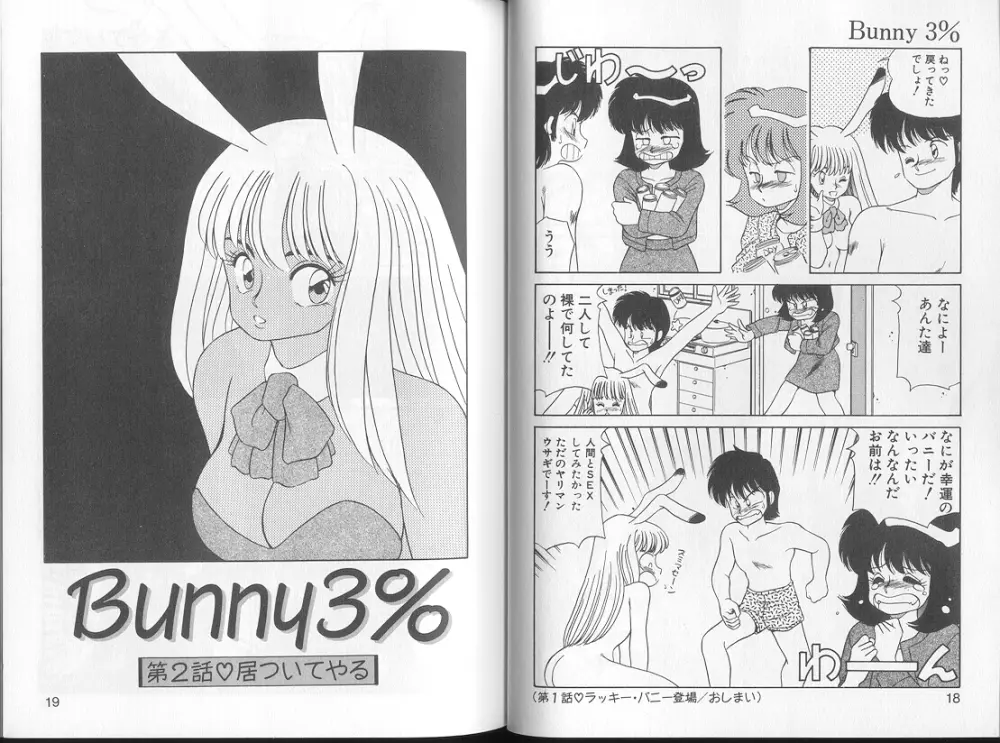 Bunny 3% Page.10